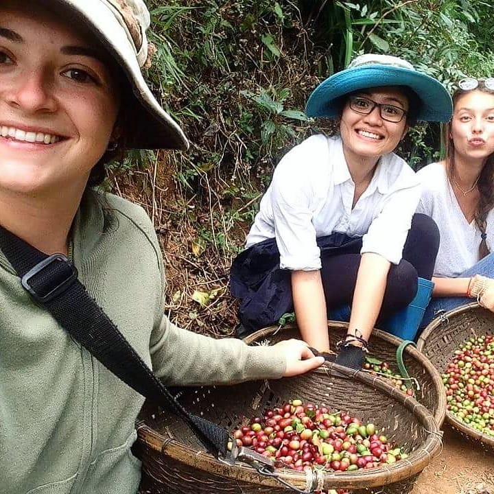 Coffee experience tour at coffee farm dalat